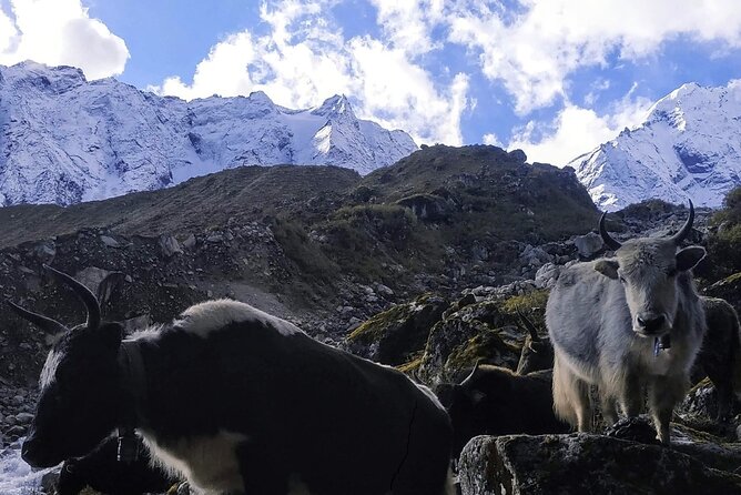 Manaslu Circuit Trek: - Day 1: Kathmandu arrival, briefing, and an easy start