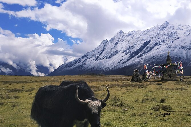 Manaslu Circuit Trek: - Day 5: Bihi Bazaar, river walking, and Lo Gaon views