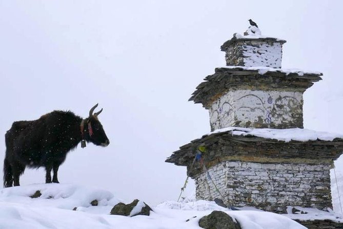 Manaslu Circuit Trekking - 17 Days - Larke La crossing on snow: 10–12 hours of focus