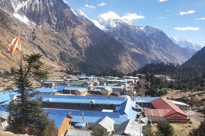Manaslu Trekking - Bimthang viewpoints, Tilje, and Chamje: finishing the circuit with forest walking