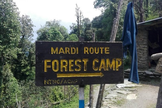 Mardi Himal Trek - 12 Days - Kathmandu warm-up: Thamel, Durbar Square, and the big sacred sites