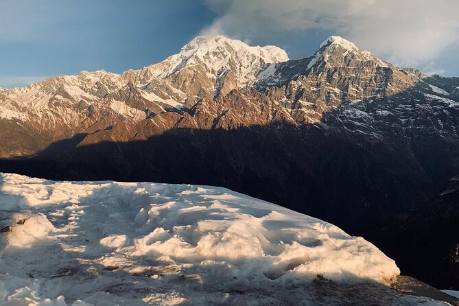 Mardi Himal Trek - 12 Days - Trek fundamentals: from rice fields up into rhododendron forests