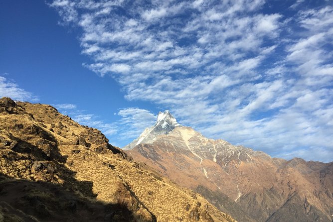 Mardi Himal Trek - 8 Days | Hidden Gem of the Annapurnas - Day 4 Through Rhododendron Forests: A Calmer Slice of the Annapurna Region