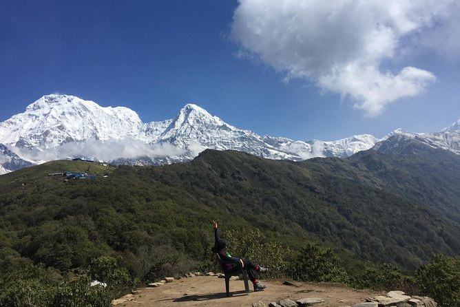 Mardi Himal Trek - 8 Days | Hidden Gem of the Annapurnas - Day 5 Above the Tree Line: Mardi Himal Views Without Needing Peak Fitness
