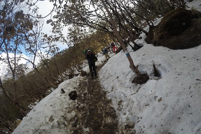Mardi Himal Trekking - Guides and porters: what actually raises the quality