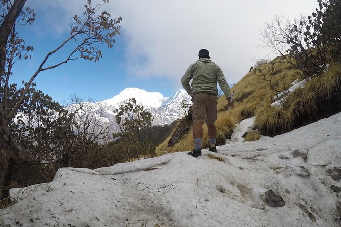 Mardi Himal Trekking - The trek rhythm over about 13 days