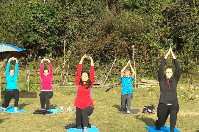 Mardi Himal Yoga Trek - Dhampus View Tower and the First Trek Day: Getting Your Legs Ready