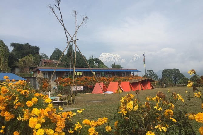 Mardi Himal - Day 2: Phedi to Deurali via Dhampus and Pothana