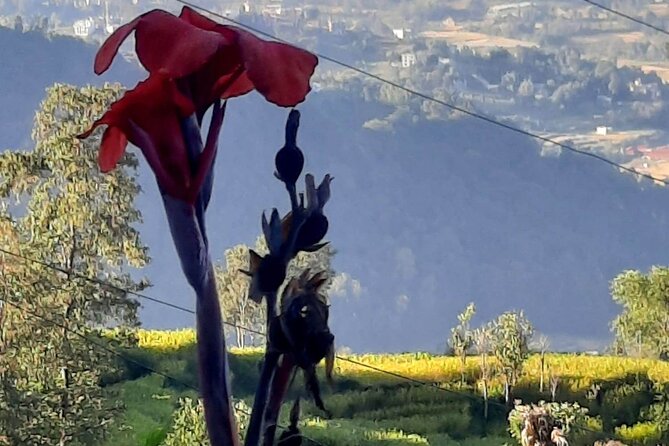 Nagarkot (2175m) Sunrise and Day Hike to Changunarayan Temple - The Kathmandu Pickup and the Early-Start Reality