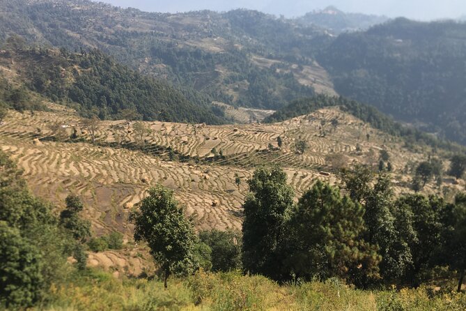 Nagarkot Full-Day Hiking Tour from Kathmandu - Kathmandu to Nagarkot: what this day trip is really like