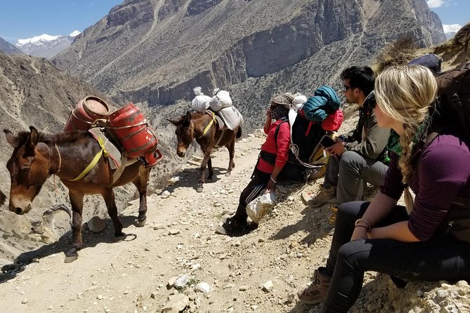 Nar Phu Valley Trek - 12 Days - Nar and Phu villages: the culture you walk into, not just see
