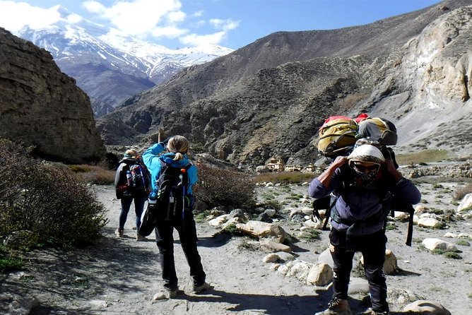 Nar Phu Valley Trek - 12 Days - Kang La Pass at 5,320m: the altitude moment that defines the whole trip