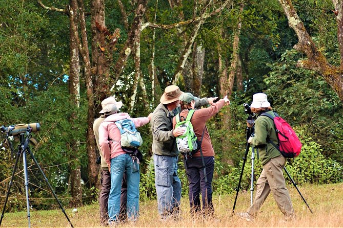 Nepal Birding - Bird Species Targets You Can Actually Think About