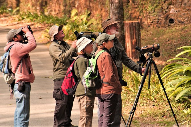 Nepal Birding - Duration, Timing, and What It Means for Your Day Plan