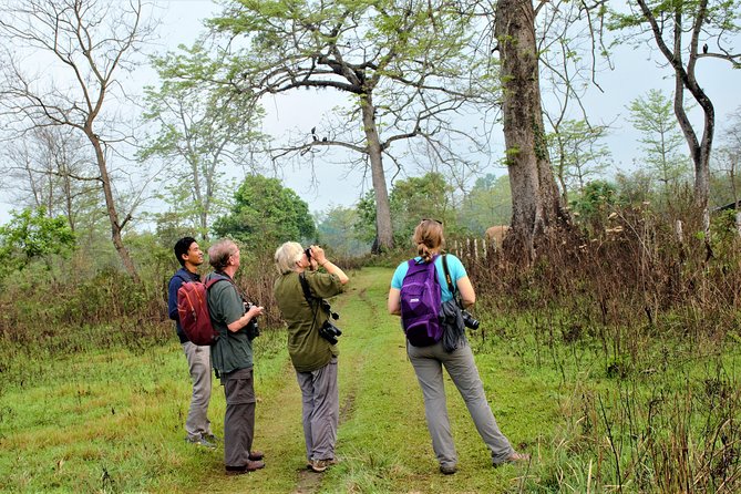 Nepal Birding - Getting There: Pickup, Private Transport, and Mobile Tickets