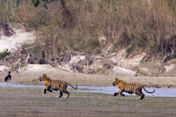 Nepal Classic Tour -12 Days - Chitwan National Park: Tharu Culture, Canoe Wildlife, and Safari Time