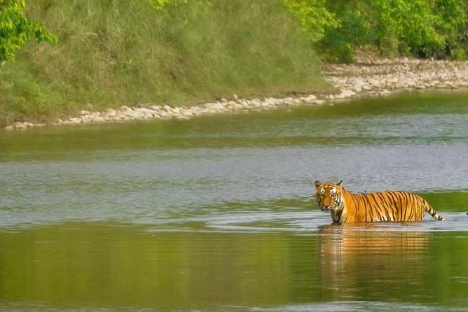 Nepal Classic Tour -12 Days - Lumbini: Buddha’s Birthplace and the Heritage-Site Feel