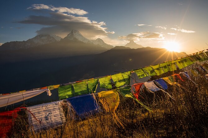 Nepal Cultural Highlights Tour in 10 Days - Day 4-6: Chitwan National Park’s wildlife rhythm