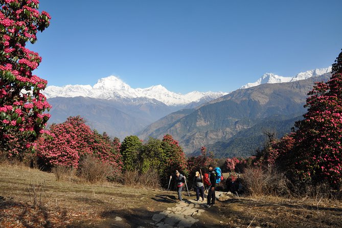 Nepal Round Tour with Annapurna Trek 14 Days - Why this Annapurna + Nepal round tour is such a smart mix