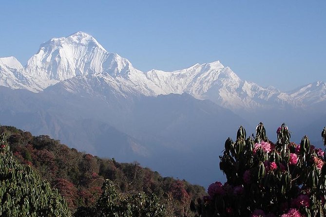 Nepal Round Tour with Annapurna Trek 14 Days - Kathmandu Valley days: temples, squares, and places you should treat with respect