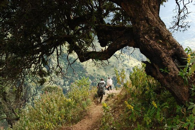Nepal Round Tour with Annapurna Trek 14 Days - The Annapurna trek: about a week of guesthouse walking