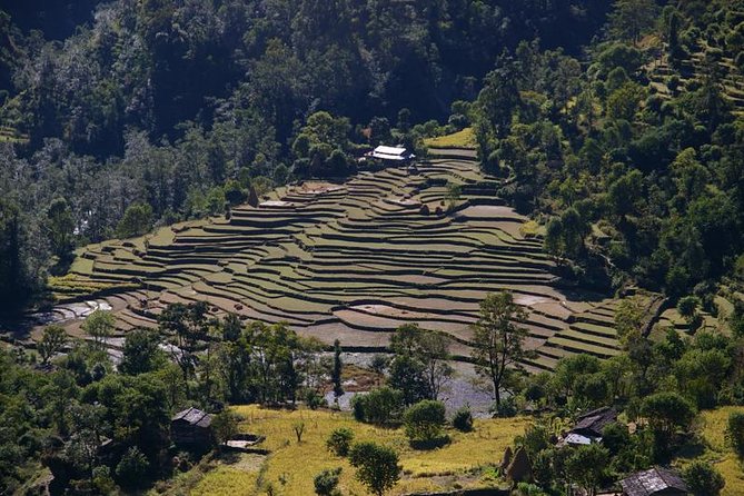 Nepal Round Tour with Annapurna Trek 14 Days - Price and logistics: what you’re really paying for