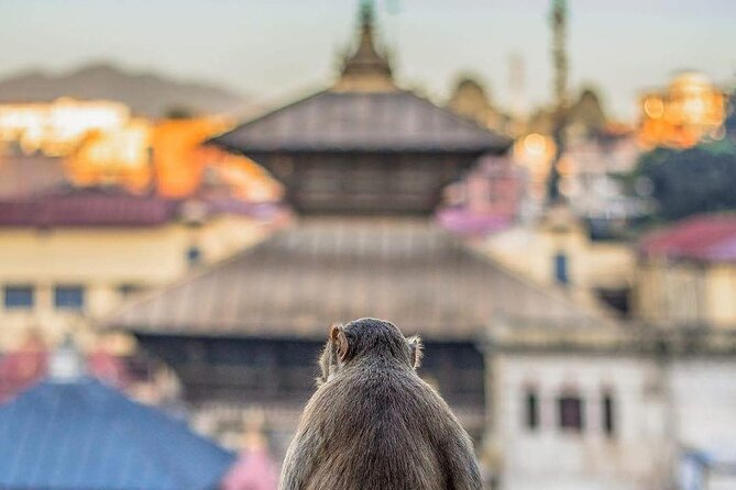 PashupatiNath and BoudhaNath - Private/Small Group - Guru Lhakhang Monastery and the Dharma Chakra story