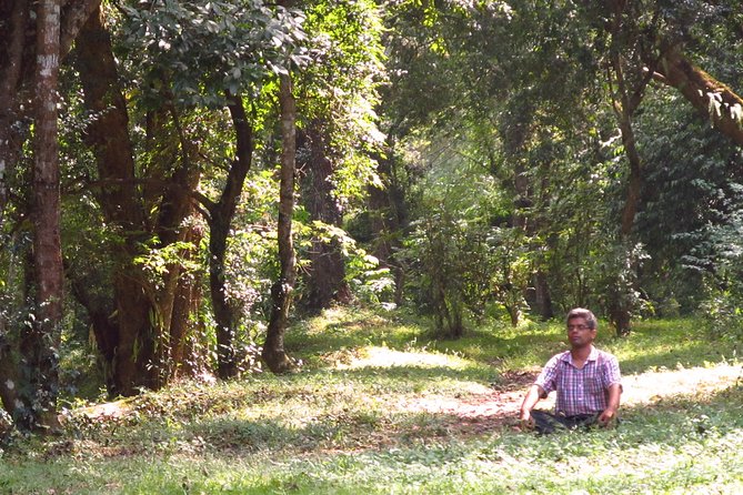 Pharping Asura Cave Meditation Tour - Why Pharping and the Asura Cave feel different than a temple stop