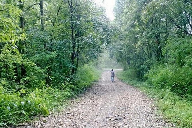Phulchoki bird-watching tour - Morning drive to Godawari: why the timing matters
