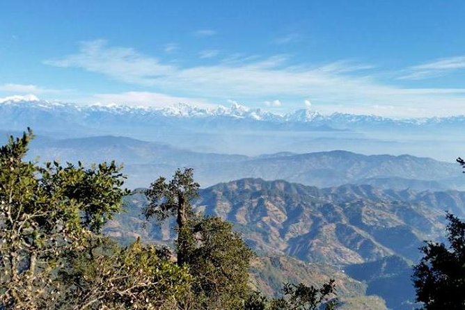Phulchoki bird-watching tour - Practical tips so your bird day goes smoothly
