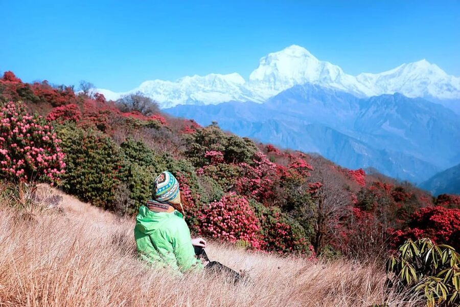 Pokhara: 2 Day Ghorepani & Poon Hill Private Trekking - Why Ghorepani and Poon Hill fit a tight schedule
