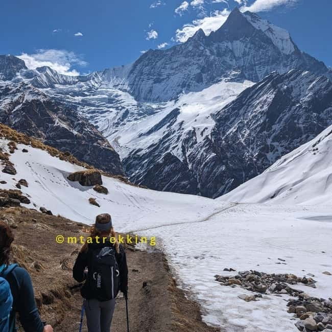 Pokhara: 5-Day Annapurna Base Camp (ABC) Trek - Price and Value: What $136 per Person Really Buys