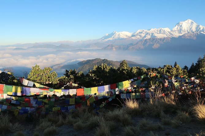 Poon Hill Trek - Key Highlights You’ll Feel Immediately