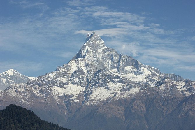 Poon Hill Trek - Ulleri to Ghorepani: Oak, Rhododendron, and That Teahouse Gravity