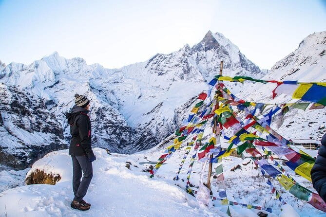 Poon Hill Trek package - Day 5: Downhill to Syauli Bazaar, then back to Pokhara Lakeside