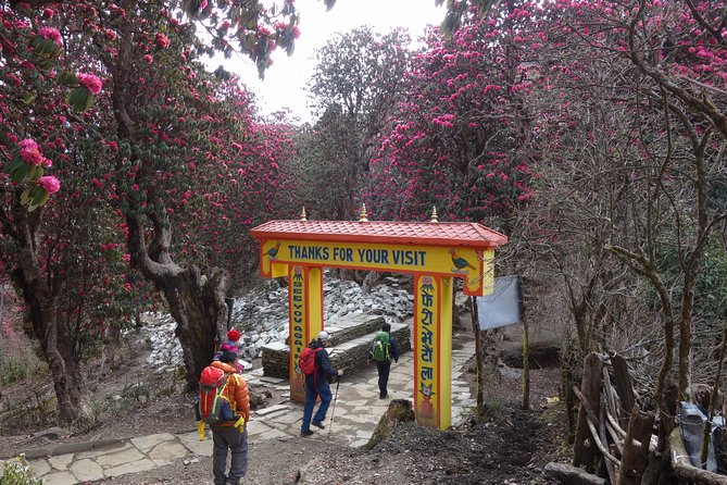 Poonhill Trek - Route overview: Kathmandu to Pokhara and into the Annapurna foothills