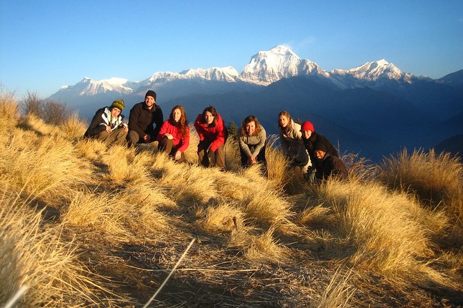 Poonhill Trek - Day-by-day: from Ulleri steps to Hot Spring recovery