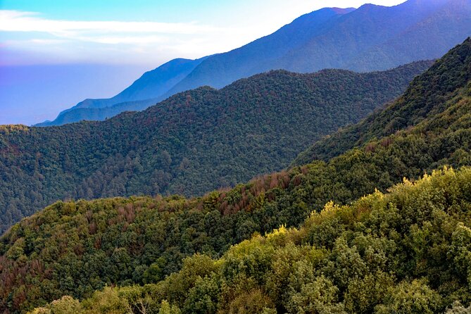 Popular One-Day Hiking Options from Kathmandu - How the private guide and pickup shape your whole day