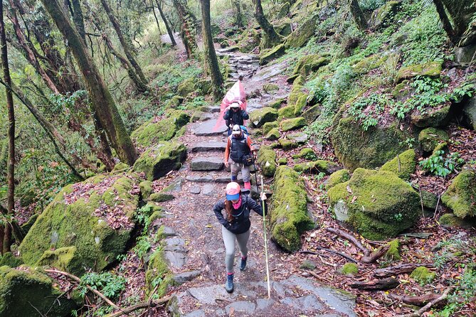 Private 12-Day All Inclusive Guided Annapurna Base Camp Trek Tour - From Birethanti into Gurung country: Ghandruk to Chhomrong