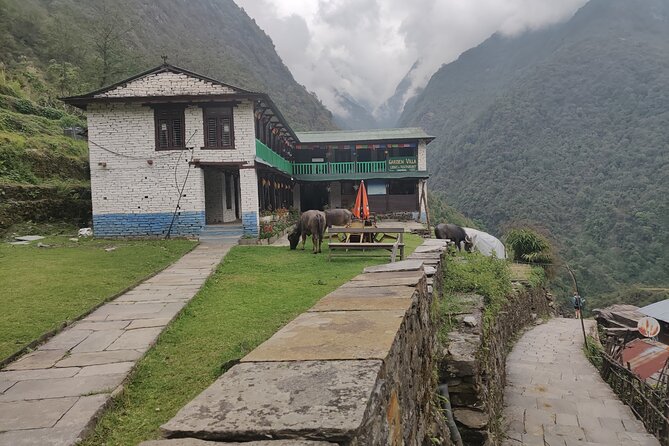Private 12-Day All Inclusive Guided Annapurna Base Camp Trek Tour - Deurali to Machhapuchhre Base Camp: the halfway moment before ABC