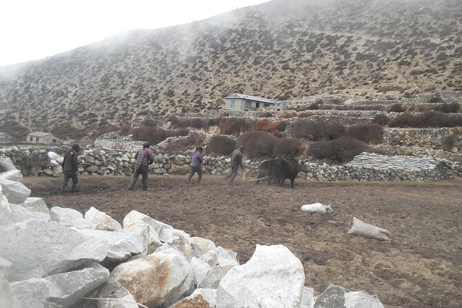 Private 12 - Day Everest Base Camp Trekking - Tengboche Day 4: The Monastery Stop and Ama Dablam Timing