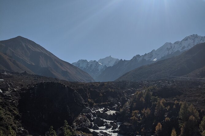 Private 8 - Day Langtang Trekking - Retracing Steps: The Easier Return Through Rhododendron Country