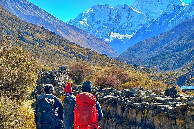 Private 8 - Day Langtang Trekking - Back to Kathmandu: Terraced Fields and a Clean Wrap-Up