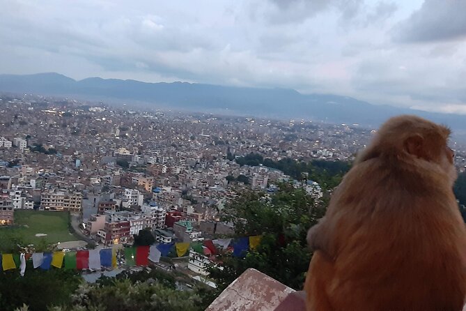 Private Day Tour at the World Heritage Site in Kathmandu Valley - Stop 4: Pashupatinath Temple on the Bagmati River