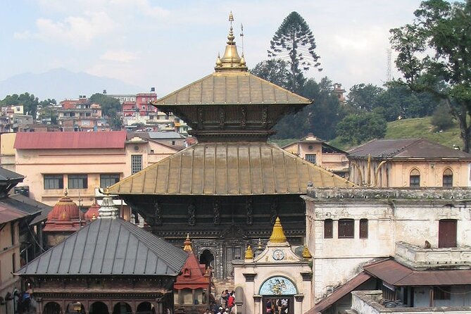Private Day Tour at the World Heritage Site in Kathmandu Valley - The Private Setup: Pickup, Mobile Ticket, and Your Guide’s Role