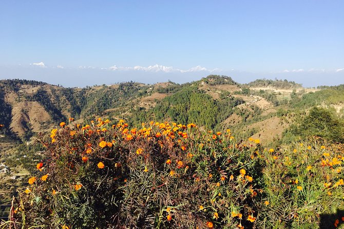Private Day Tour - Sacred Journey to Namo Buddha - The drive is part of the experience: Himalaya, terraces, and Tamang villages