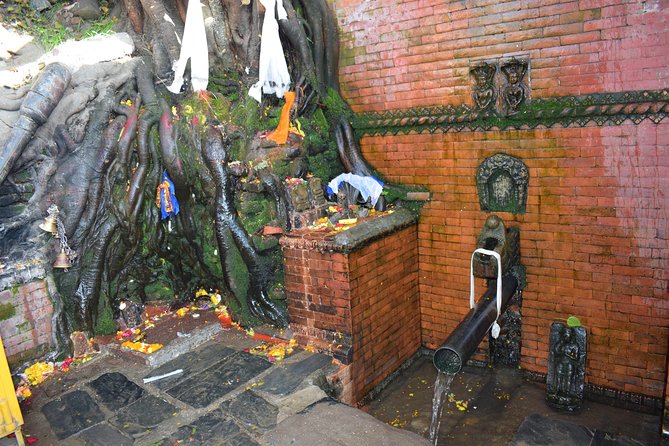Private Half Day Budhanilkantha Tour - Stop 2: the living worship around the Sleeping Vishnu