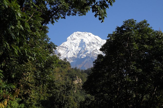 Private Multi Day Nepal Poon Hill Trekking Tour - Ghorepani at 2,855m: Lodge Night and the Forest-to-Altitude Shift
