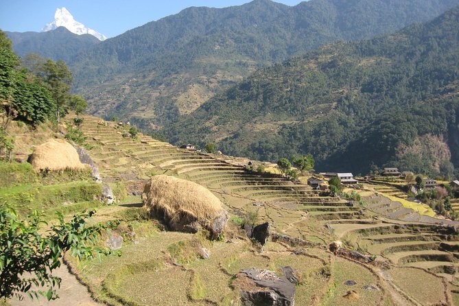 Private Multi Day Nepal Poon Hill Trekking Tour - From Kathmandu to Pokhara: the Scenic Setup for Day One