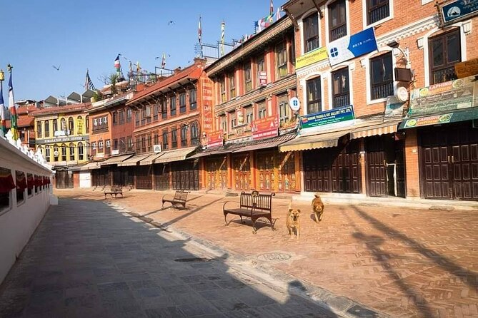 Private Tour of 4 UNESCO Heritage Sites in Kathmandu by Car - Pashupatinath Temple: a major Shiva site without the navigation headache